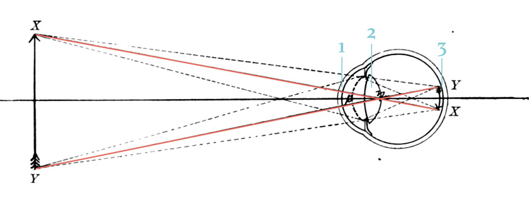 Wie funktioniert das Auge?