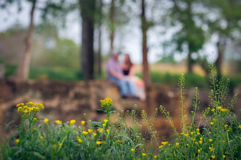 Kontaktlinsen in der Pollensaison Tipps und Tricks – Optiker Steiermark